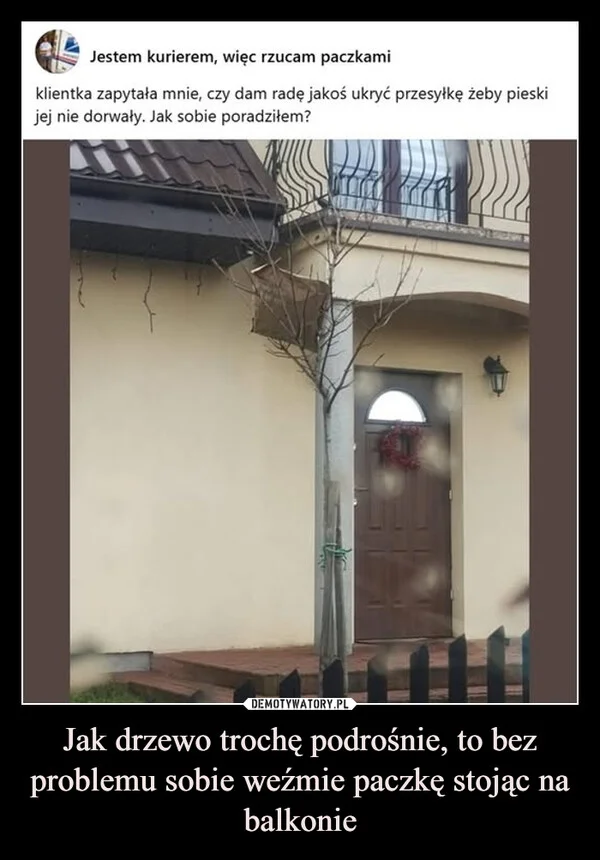 
    Jak drzewo trochę podrośnie, to bez problemu sobie weźmie paczkę stojąc na balkonie