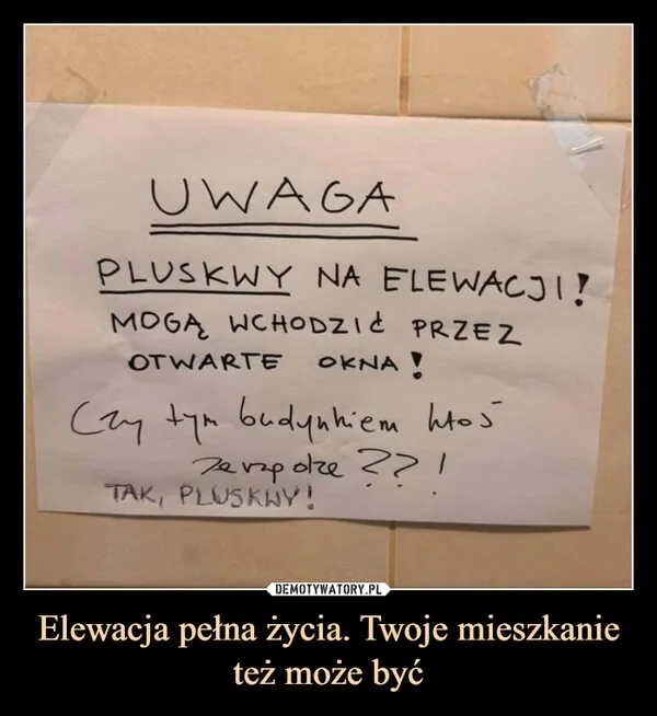 
    Elewacja pełna życia. Twoje mieszkanie też może być