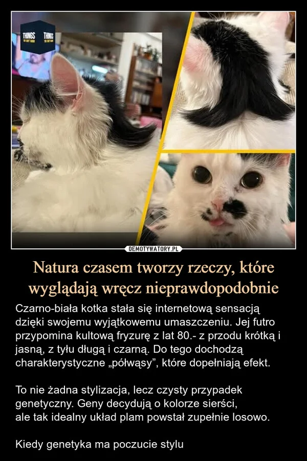 
    Natura czasem tworzy rzeczy, które wyglądają wręcz nieprawdopodobnie