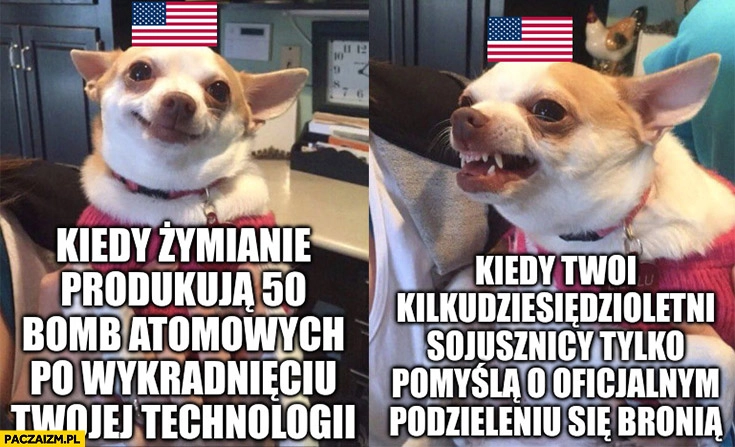 
    USA kiedy Żymianie produkują 50 bomb atomowych po wykradnięciu twojej technologii vs kiedy oficjalni sojusznicy pomyślą o podzieleniu się bronią pies piesek