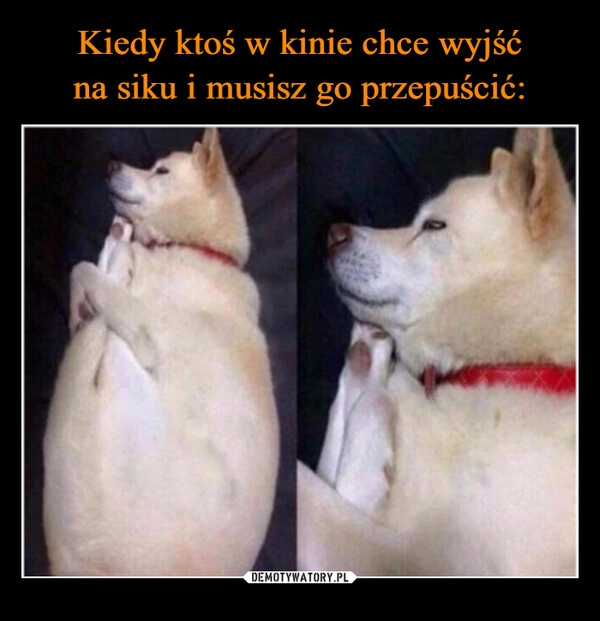 
    Kiedy ktoś w kinie chce wyjść
na siku i musisz go przepuścić: