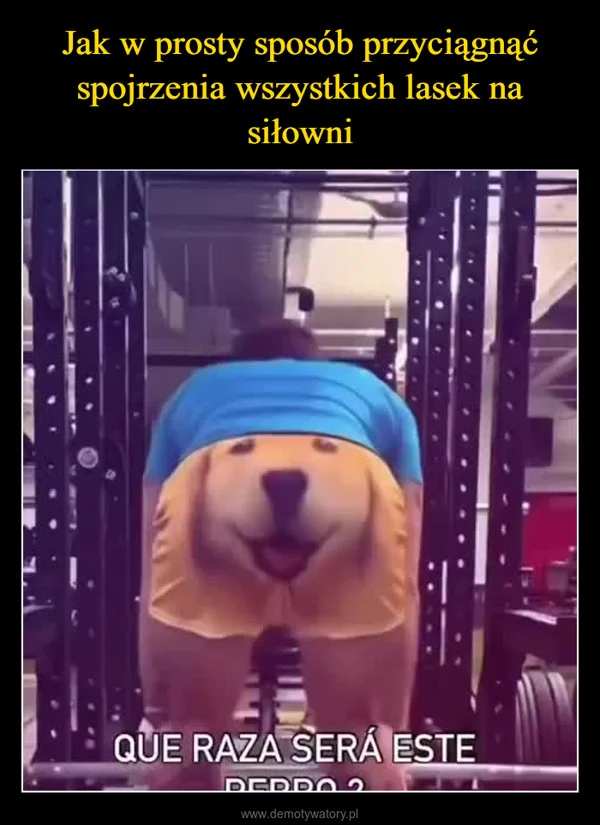 
    Jak w prosty sposób przyciągnąć spojrzenia wszystkich lasek na siłowni