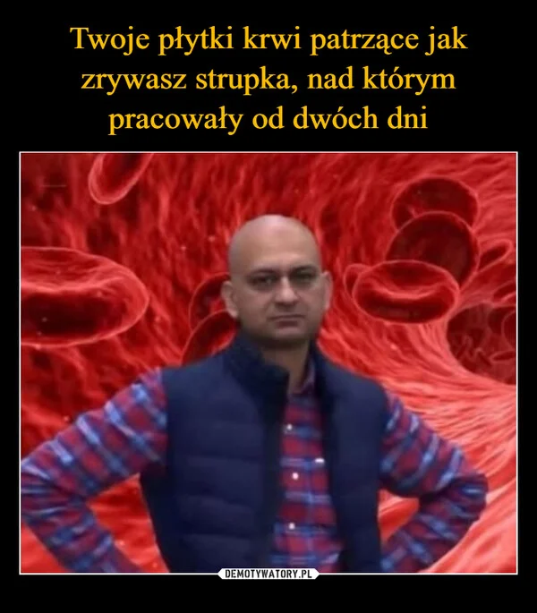 
    Twoje płytki krwi patrzące jak zrywasz strupka, nad którym pracowały od dwóch dni