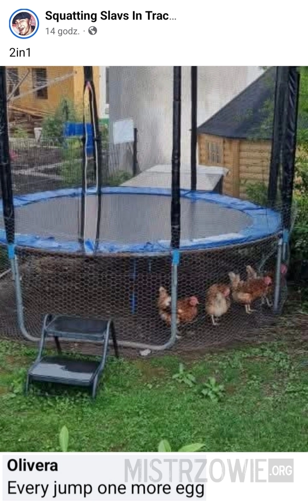 
    Trampolina