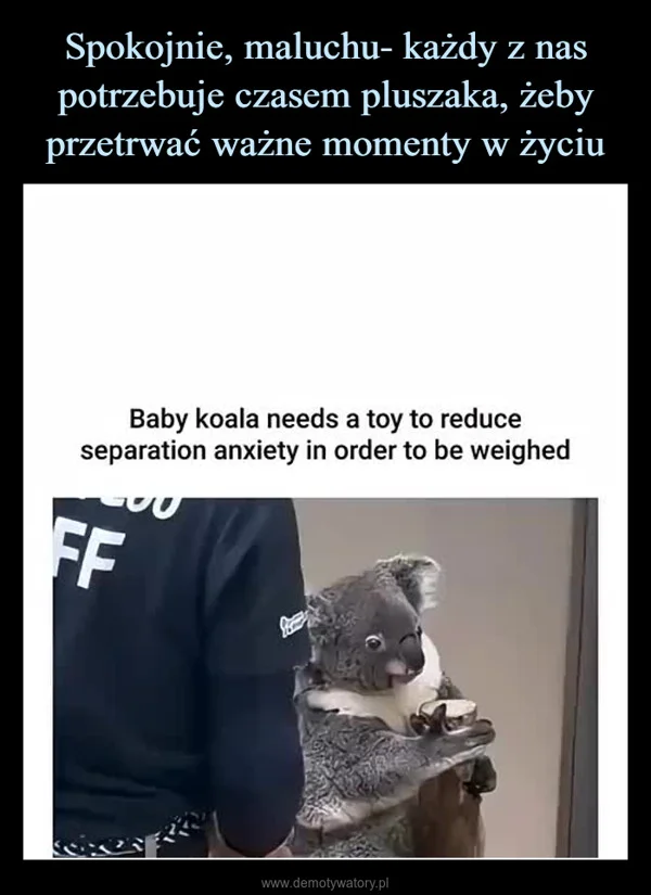 
    Spokojnie, maluchu- każdy z nas potrzebuje czasem pluszaka, żeby przetrwać ważne momenty w życiu