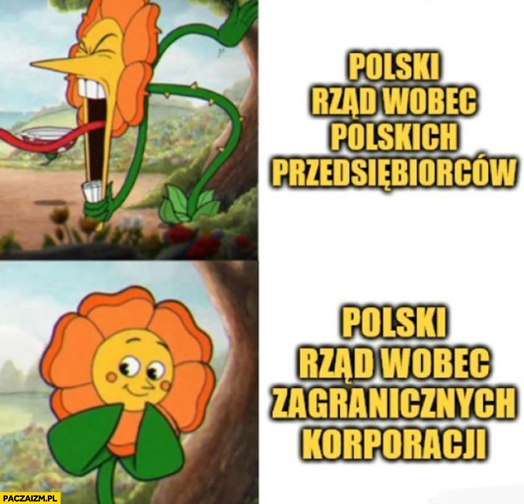 
    Polski rząd wobec polskich przedsiębiorców vs polski rząd wobec zagranicznych korporacji