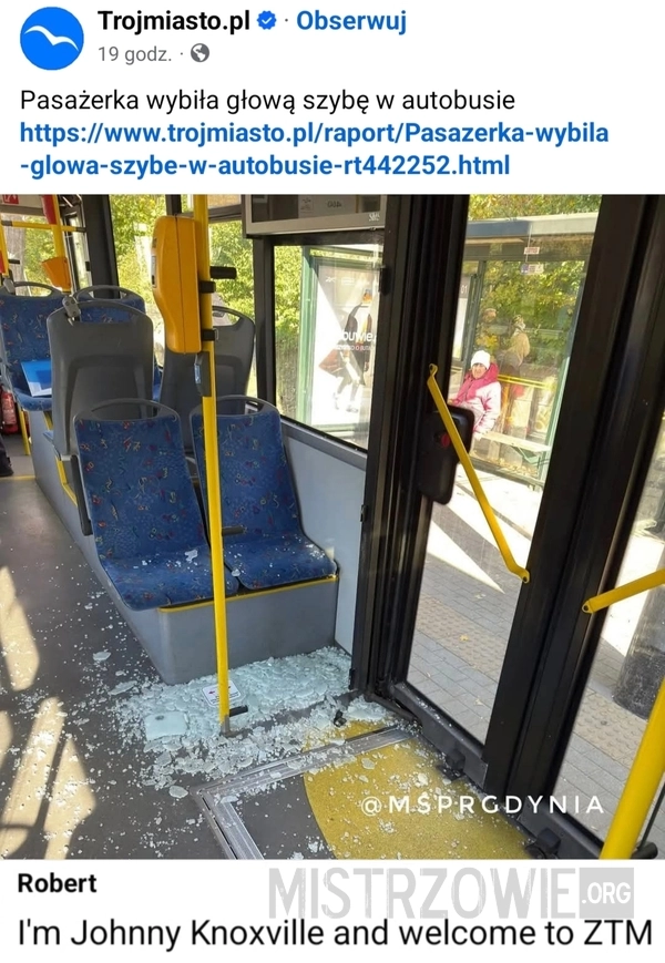 
    Szyba