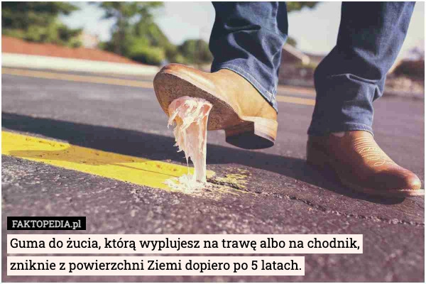 
    Guma do żucia, którą wyplujesz na trawę albo na chodnik,
zniknie z powierzchni