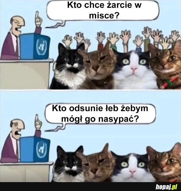 
    Kto chce żarcie