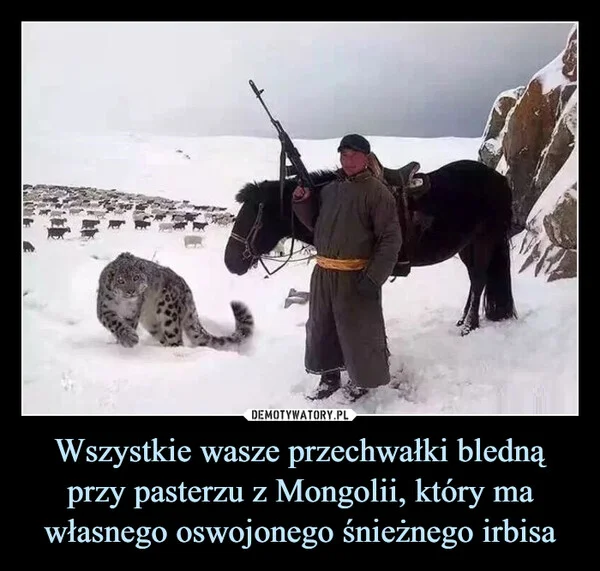 
    Wszystkie wasze przechwałki bledną przy pasterzu z Mongolii, który ma własnego oswojonego śnieżnego irbisa