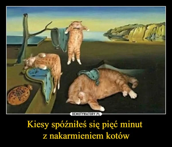 
    Kiesy spóźniłeś się pięć minut z nakarmieniem kotów