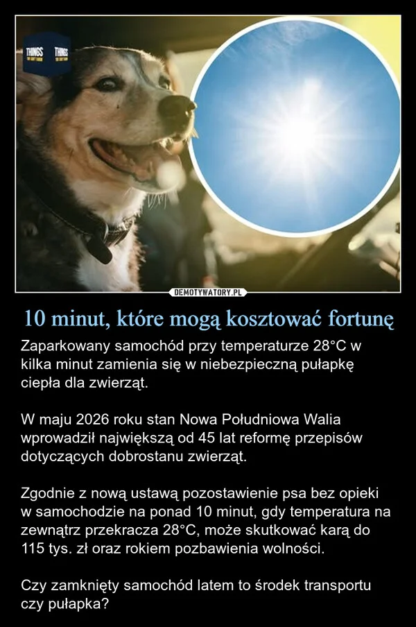 
    10 minut, które mogą kosztować fortunę