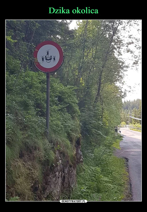 
    Dzika okolica