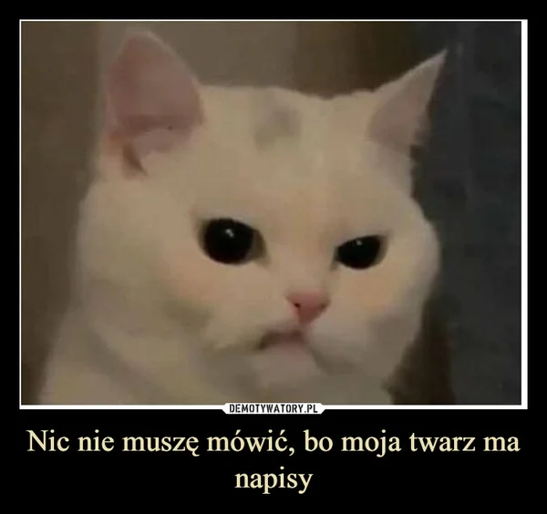 
    Nic nie muszę mówić, bo moja twarz ma napisy