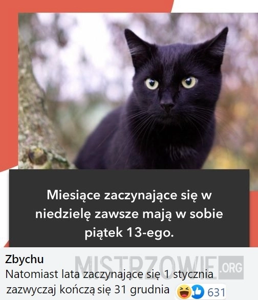 
    Miesiące