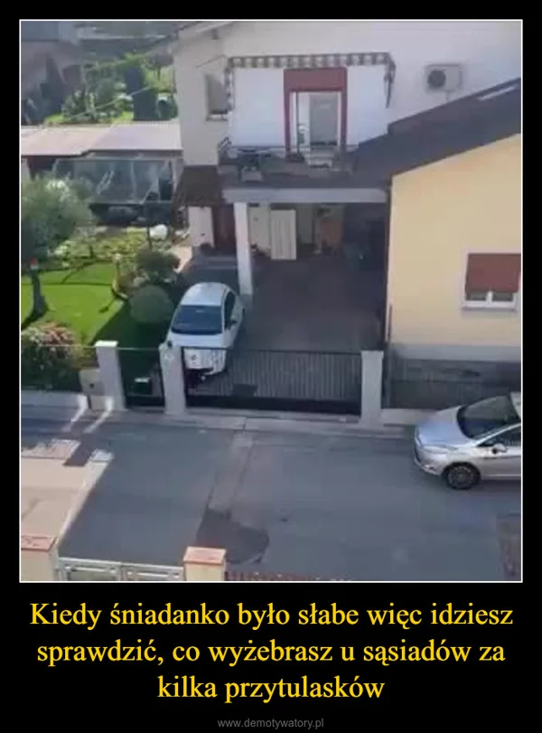 Kiedy śniadanko było słabe więc idziesz sprawdzić, co wyżebrasz u sąsiadów za kilka przytulasków