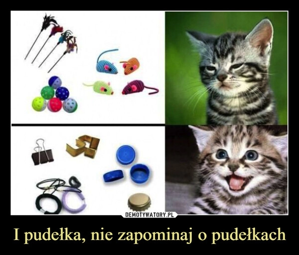 
    I pudełka, nie zapominaj o pudełkach