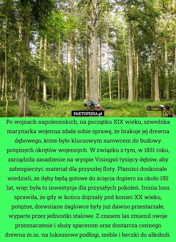 
    Po wojnach napoleońskich, na początku XIX wieku, szwedzka marynarka wojenna
