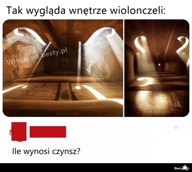 
    Wnętrze wiolonczeli 