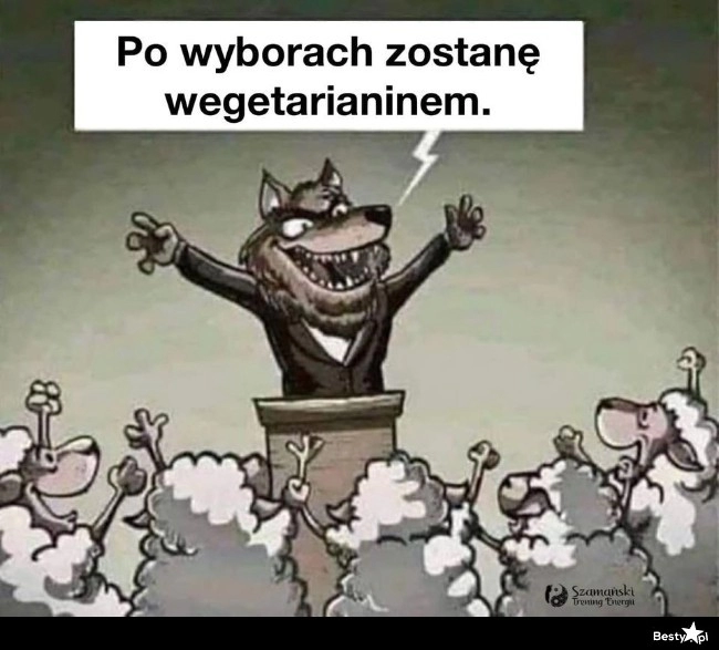 
    Kampania wyborcza 