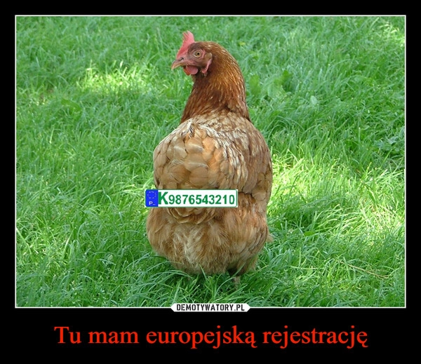 
    Tu mam europejską rejestrację