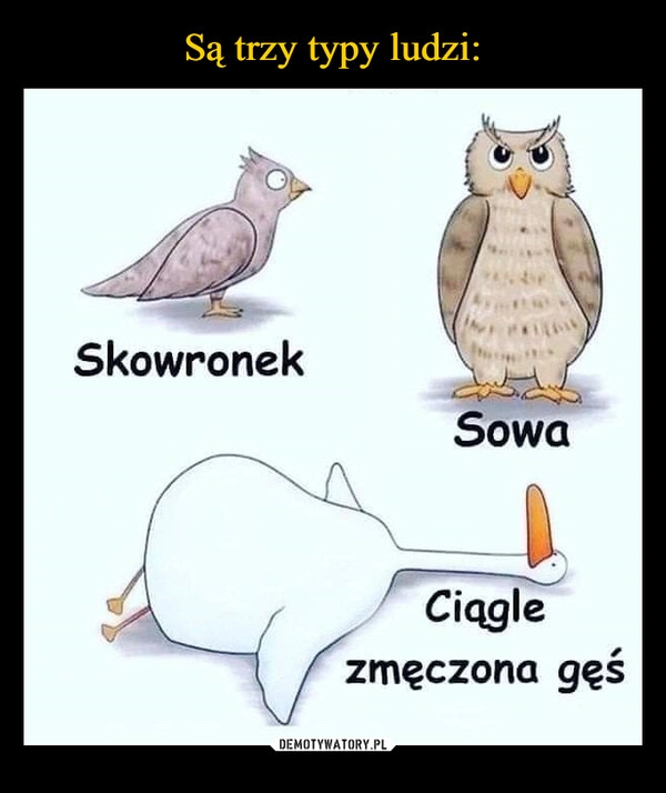 
    Są trzy typy ludzi: