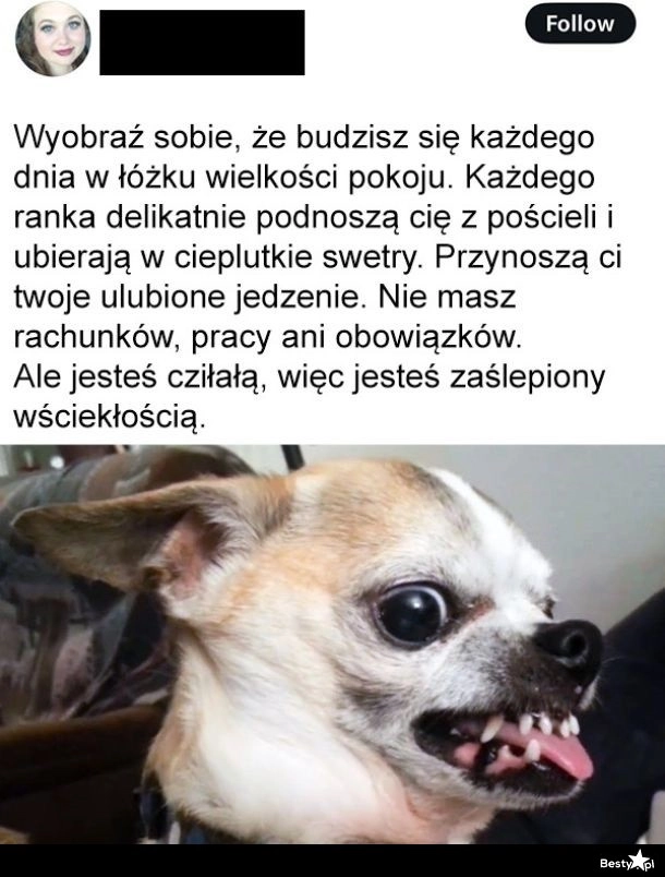 
    Wyobraź sobie 