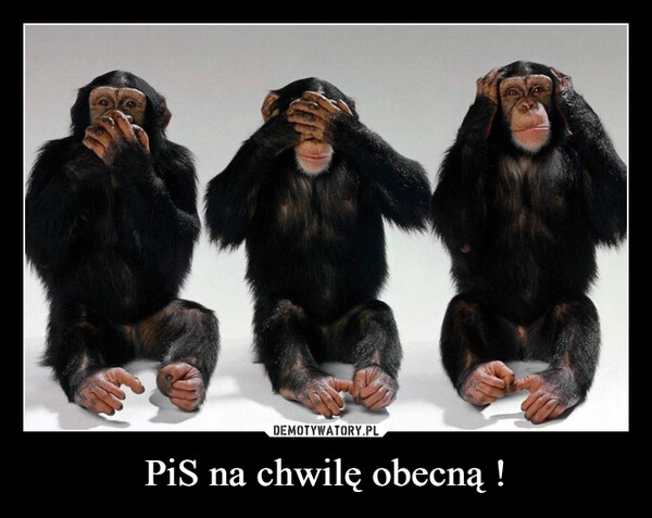 
    PiS na chwilę obecną !