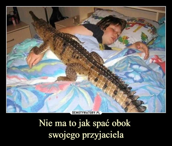 
    Nie ma to jak spać obok 
swojego przyjaciela