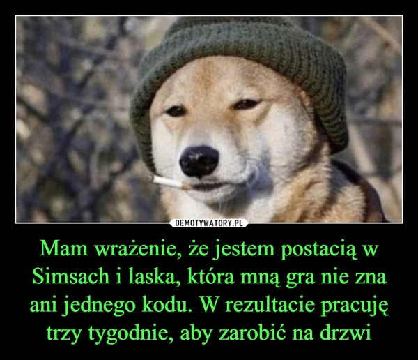 
    Mam wrażenie, że jestem postacią w Simsach i laska, która mną gra nie zna ani jednego kodu. W rezultacie pracuję trzy tygodnie, aby zarobić na drzwi