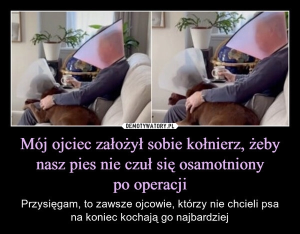 
    Mój ojciec założył sobie kołnierz, żeby nasz pies nie czuł się osamotniony
po operacji