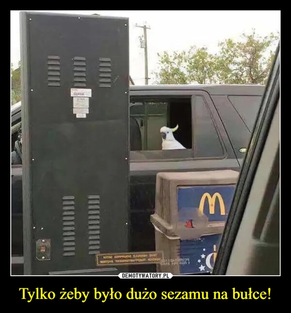 
    Tylko żeby było dużo sezamu na bułce!