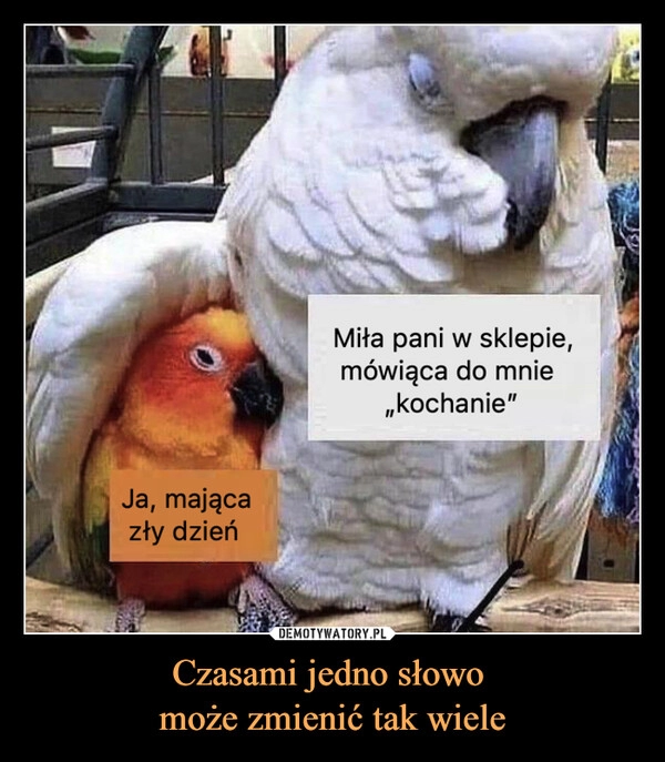 
    Czasami jedno słowo 
może zmienić tak wiele