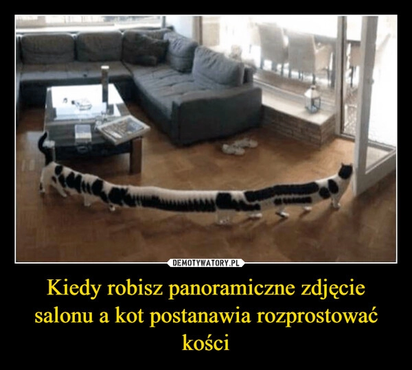 
    Kiedy robisz panoramiczne zdjęcie salonu a kot postanawia rozprostować kości