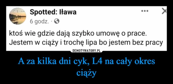 
    A za kilka dni cyk, L4 na cały okres ciąży