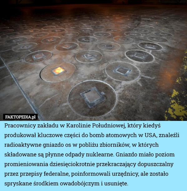 
    Pracownicy zakładu w Karolinie Południowej, który kiedyś produkował kluczowe