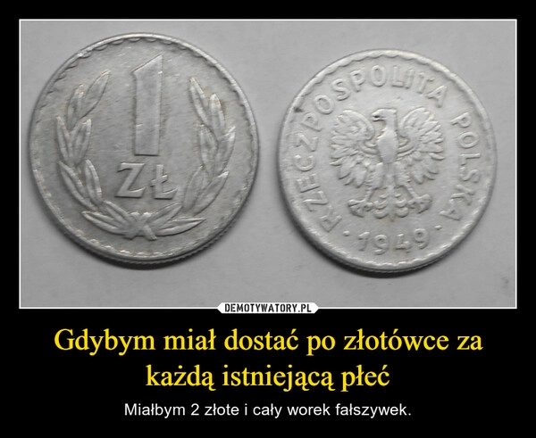 
    Gdybym miał dostać po złotówce za każdą istniejącą płeć 