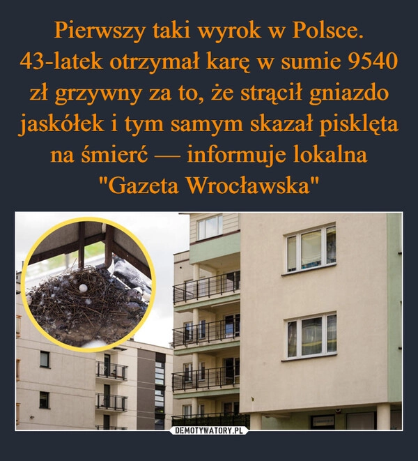 
    Pierwszy taki wyrok w Polsce. 43-latek otrzymał karę w sumie 9540 zł grzywny za to, że strącił gniazdo jaskółek i tym samym skazał pisklęta na śmierć — informuje lokalna "Gazeta Wrocławska"