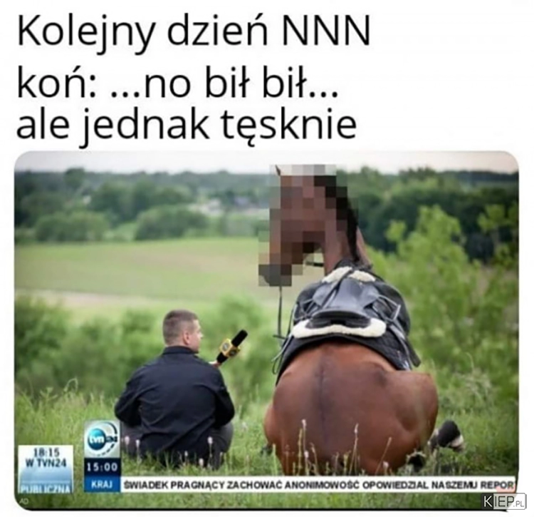 
    Kolejny dzień NNN...