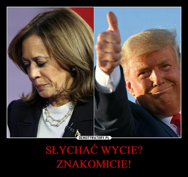 
    SŁYCHAĆ WYCIE? ZNAKOMICIE!