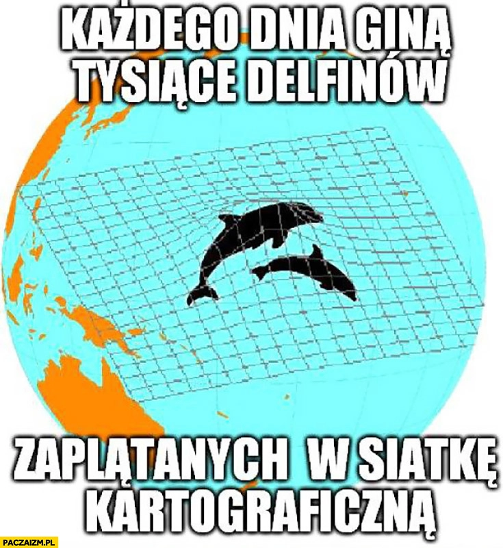 
    Każdego dnia giną tysiące delfinów zaplątanych w siatkę kartograficzną