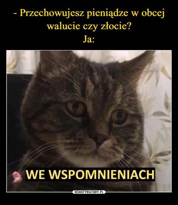 
    - Przechowujesz pieniądze w obcej walucie czy złocie?
Ja: