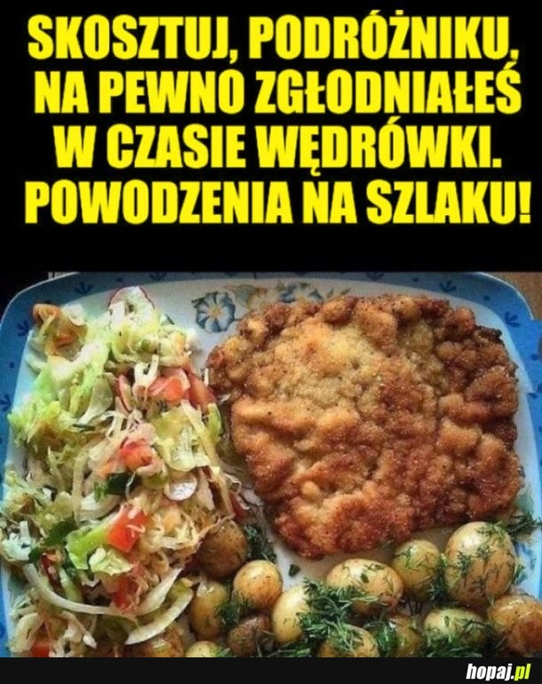 
    Podróżniku