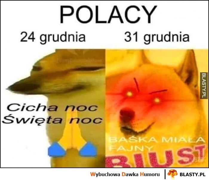 
    Polacy 24 grudnia: cicha noc święta noc dorime vs 31 grudnia Baśka miała fajny biust pies pieseł doge