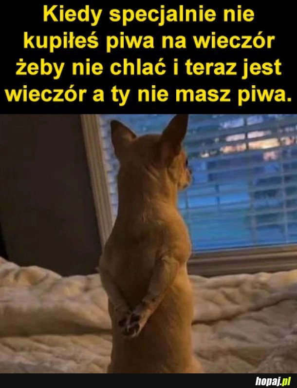 
    Najgorzej