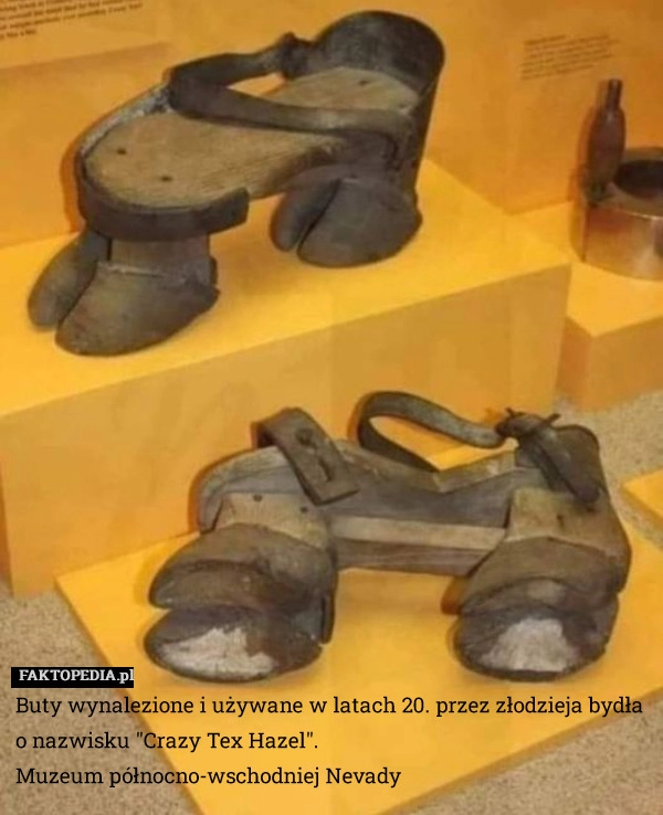 
    
			Buty wynalezione i używane w latach 20. przez złodzieja bydła o nazwisku					