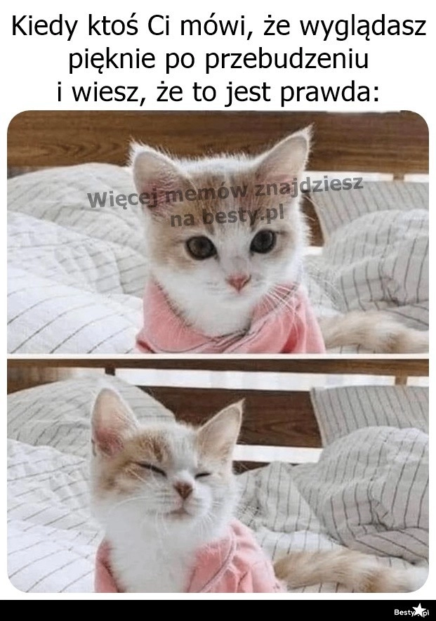 
    Przez skromność nie zaprzeczę 