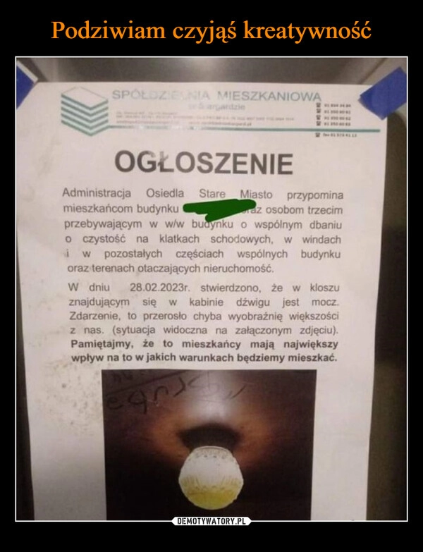 
    Podziwiam czyjąś kreatywność