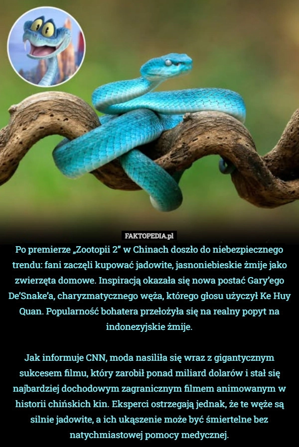 
    Po premierze „Zootopii 2” w Chinach doszło do niebezpiecznego trendu: fani