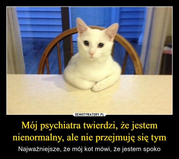 
    Mój psychiatra twierdzi, że jestem nienormalny, ale nie przejmuję się tym